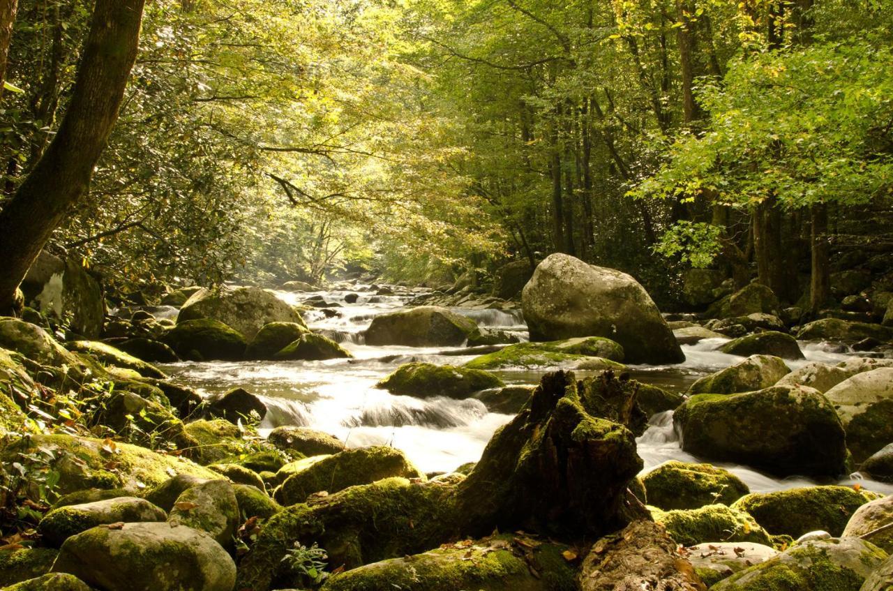 Vila Woodland Escape Pigeon Forge Exteriér fotografie